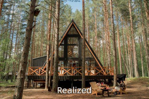 realized，realized是什么意思