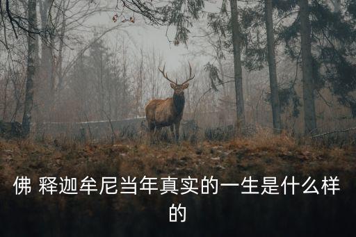佛 釋迦牟尼當(dāng)年真實(shí)的一生是什么樣的