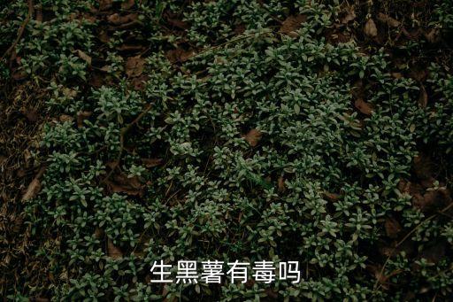 黑薯，生黑薯有毒嗎