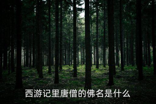 西游記里唐僧的佛名是什么