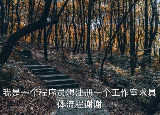 注冊工作室，我是一個程序員想注冊一個工作室求具體流程謝謝