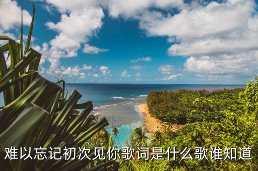 難以忘記初次見你，難以忘記初次見你歌詞是什么歌誰知道