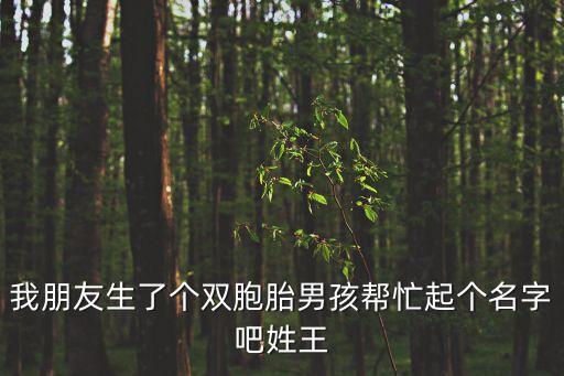 我朋友生了個雙胞胎男孩幫忙起個名字吧姓王