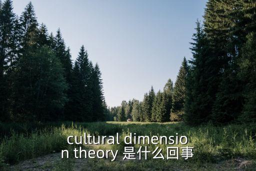 cultural dimension theory 是什么回事