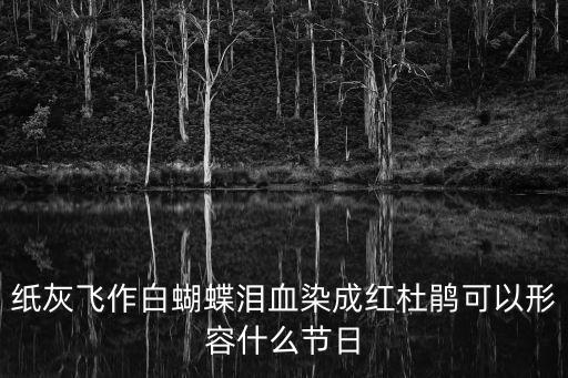 紙灰飛作白蝴蝶淚血染成紅杜鵑可以形容什么節(jié)日