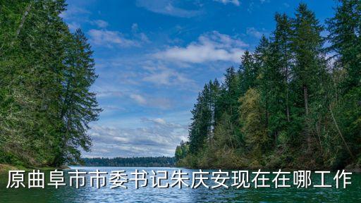原曲阜市市委書記朱慶安現在在哪工作