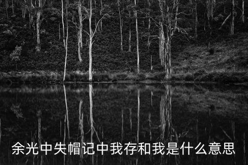 余光中失帽記中我存和我是什么意思