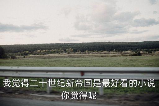 二十世紀(jì)新帝國，求小說要有關(guān)納粹主義元首的二十世紀(jì)新帝國這類的