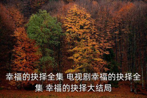幸福的抉擇全集 電視劇幸福的抉擇全集 幸福的抉擇大結局