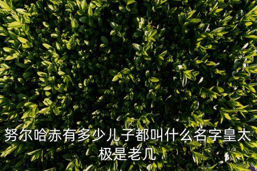努爾哈赤的兒子，努爾哈赤有多少兒子都叫什么名字皇太極是老幾