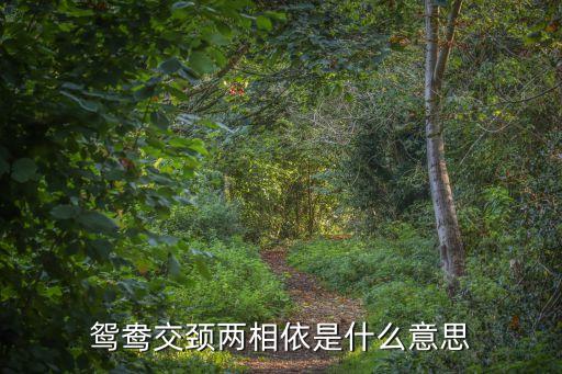 鴛鴦交頸，鴛鴦交頸見分離是什么意思