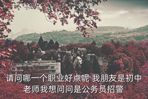 請問哪一個職業好點呢 我朋友是初中老師我想問問是公務員招警