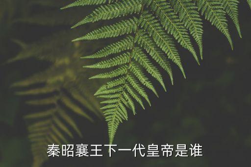 秦昭襄王下一代皇帝是誰