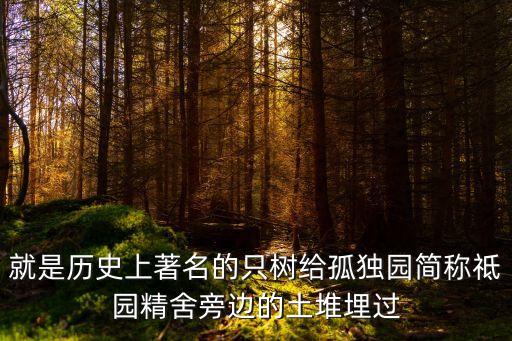 就是歷史上著名的只樹給孤獨園簡稱祗園精舍旁邊的土堆埋過