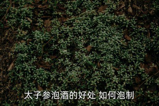 太子參泡酒的好處 如何泡制