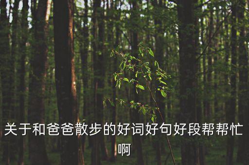 關于和爸爸散步的好詞好句好段幫幫忙啊