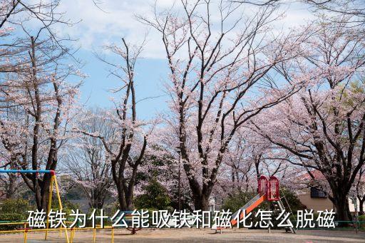 磁鐵為什么能吸鐵和磁化怎么脫磁