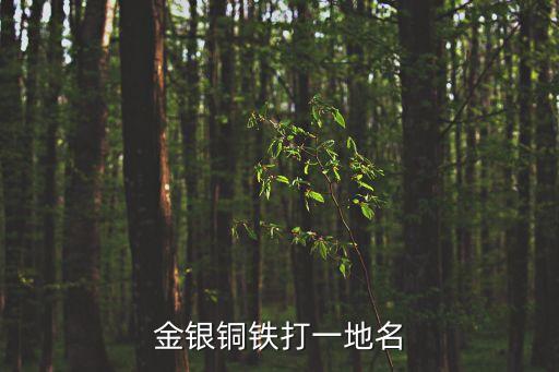 金銀銅鐵打一地名