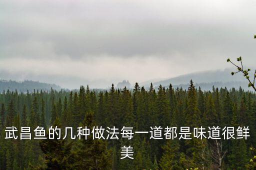 武昌魚怎么做好吃，武昌魚的幾種做法每一道都是味道很鮮美