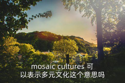 mosaic cultures 可以表示多元文化這個意思嗎