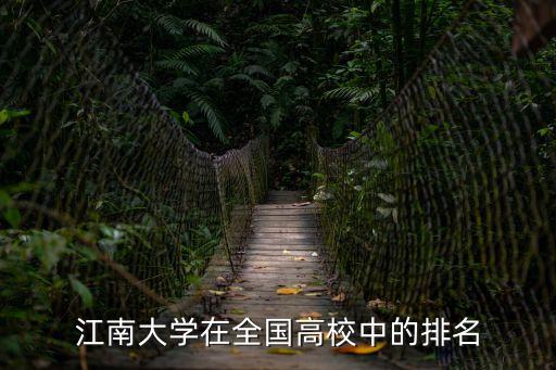 江南大學(xué)在全國高校中的排名