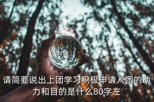 入團的動機和理由，請你談談你想入團的動機是什么