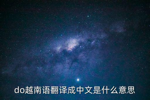 do越南語翻譯成中文是什么意思