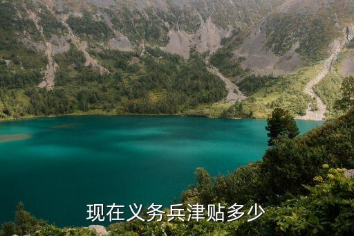 義務兵津貼，義務兵津貼是多少
