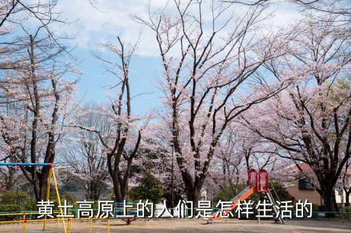 北島生活，沙皇統(tǒng)治下的人們是怎么生活的