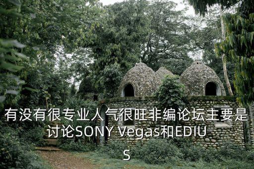有沒有很專業(yè)人氣很旺非編論壇主要是討論SONY Vegas和EDIUS
