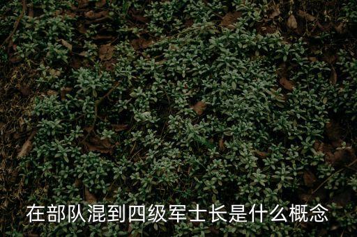 四級軍士長是什么軍銜，軍銜的等級大小