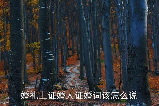 婚禮上證婚人證婚詞該怎么說