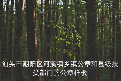 汕頭市潮陽區(qū)河溪鎮(zhèn)鄉(xiāng)鎮(zhèn)公章和縣級扶貧部門的公章樣板
