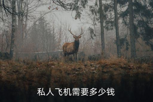 私人機，中國私人飛機多少錢