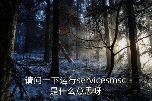 請問一下運行servicesmsc是什么意思呀