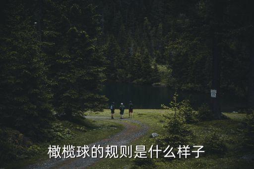 橄欖球的規則是什么樣子