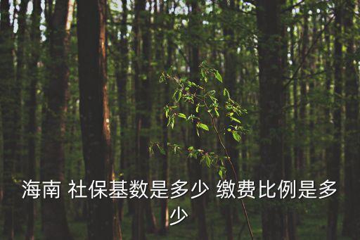 海南省社保，在海南怎么買社保