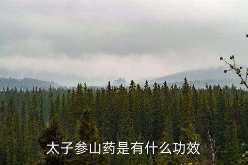 太子參的功效，太子參山藥是有什么功效