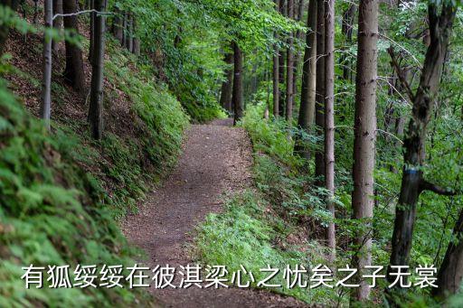 有狐綏綏在彼淇梁心之憂矣之子無裳