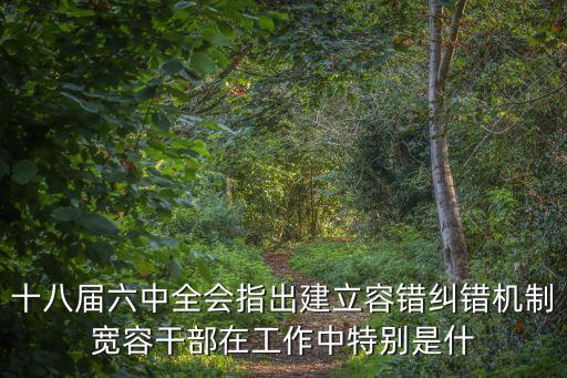 十八屆六中全會指出建立容錯糾錯機制寬容干部在工作中特別是什