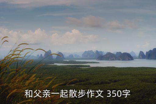 和父親一起散步作文 350字