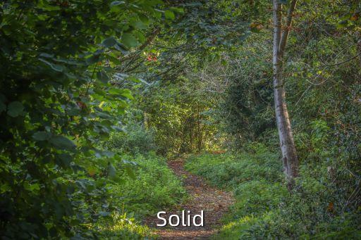 solid，solid是什么意思