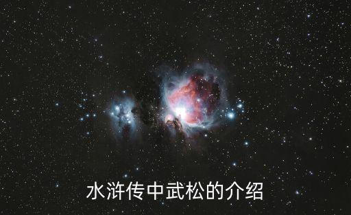 武松人物介紹，水滸傳中武松的介紹