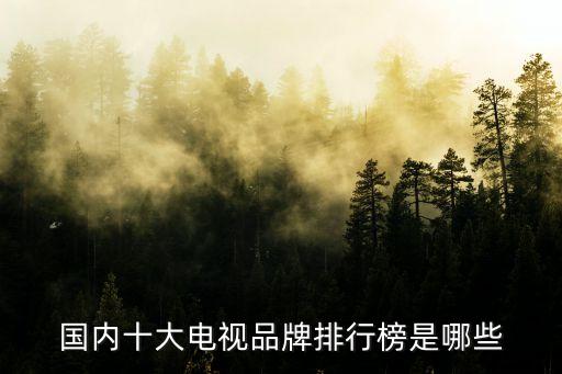國(guó)內(nèi)十大電視品牌排行榜是哪些