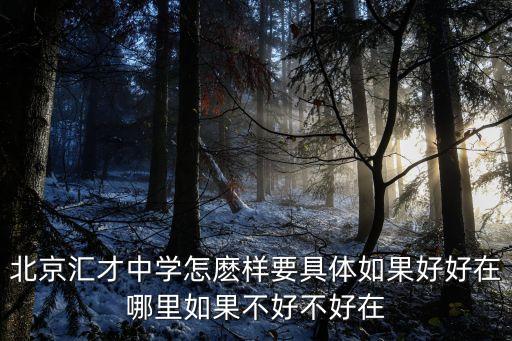 北京匯才中學(xué)怎麼樣要具體如果好好在哪里如果不好不好在