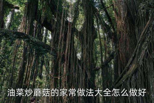 油菜蘑菇的做法，油菜炒蘑菇的家常做法大全怎么做好