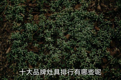 灶具十大名牌，灶具十大品牌排名