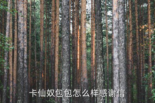 卡仙奴，哪幾種品牌的包包最受女性歡迎除了lv香奈兒卡仙奴