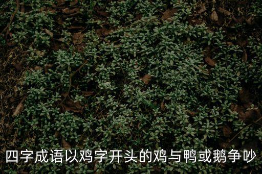 四字成語以雞字開頭的雞與鴨或鵝爭吵