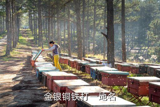 金銀銅鐵打一地名